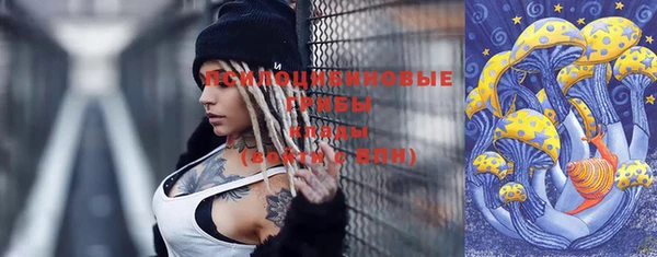 амф Ессентукская