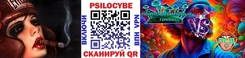 Псилоцибиновые грибы прущие грибы  Купить закладки  Полесск 